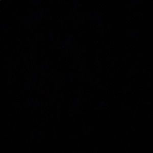 Meet your Posher, Charles